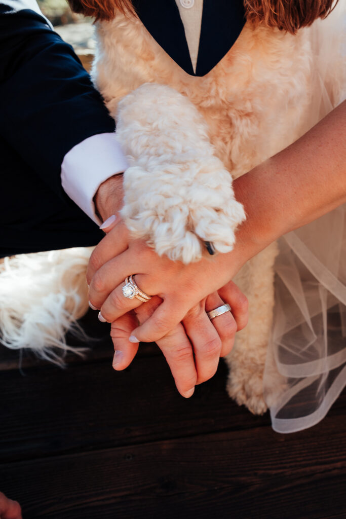 A couple posing showing off their rings with their dogs paw at their Airbnb elopement in Bailey, Colorado 