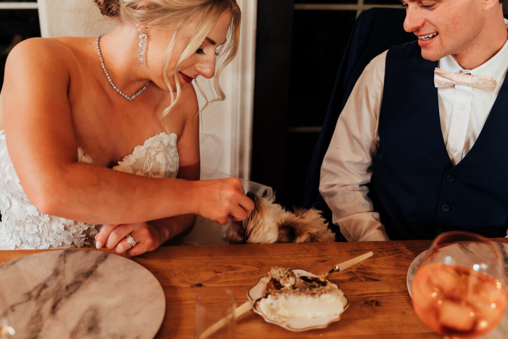 A bride feeding her dog a small piece of cake at their Airbnb elopement in Bailey, Colorado 